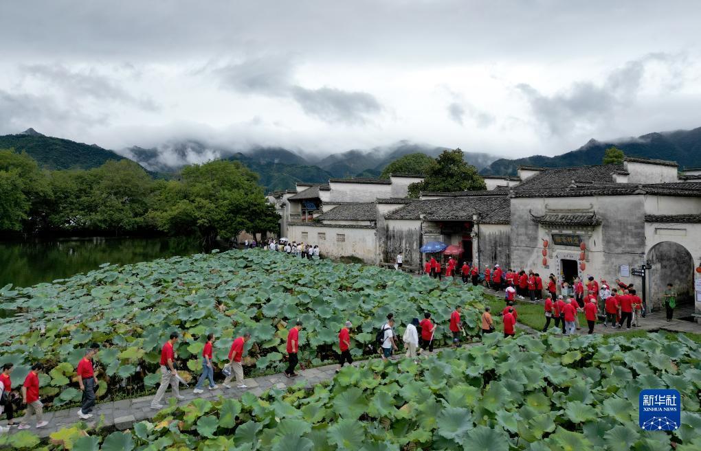 大宝娱乐平台